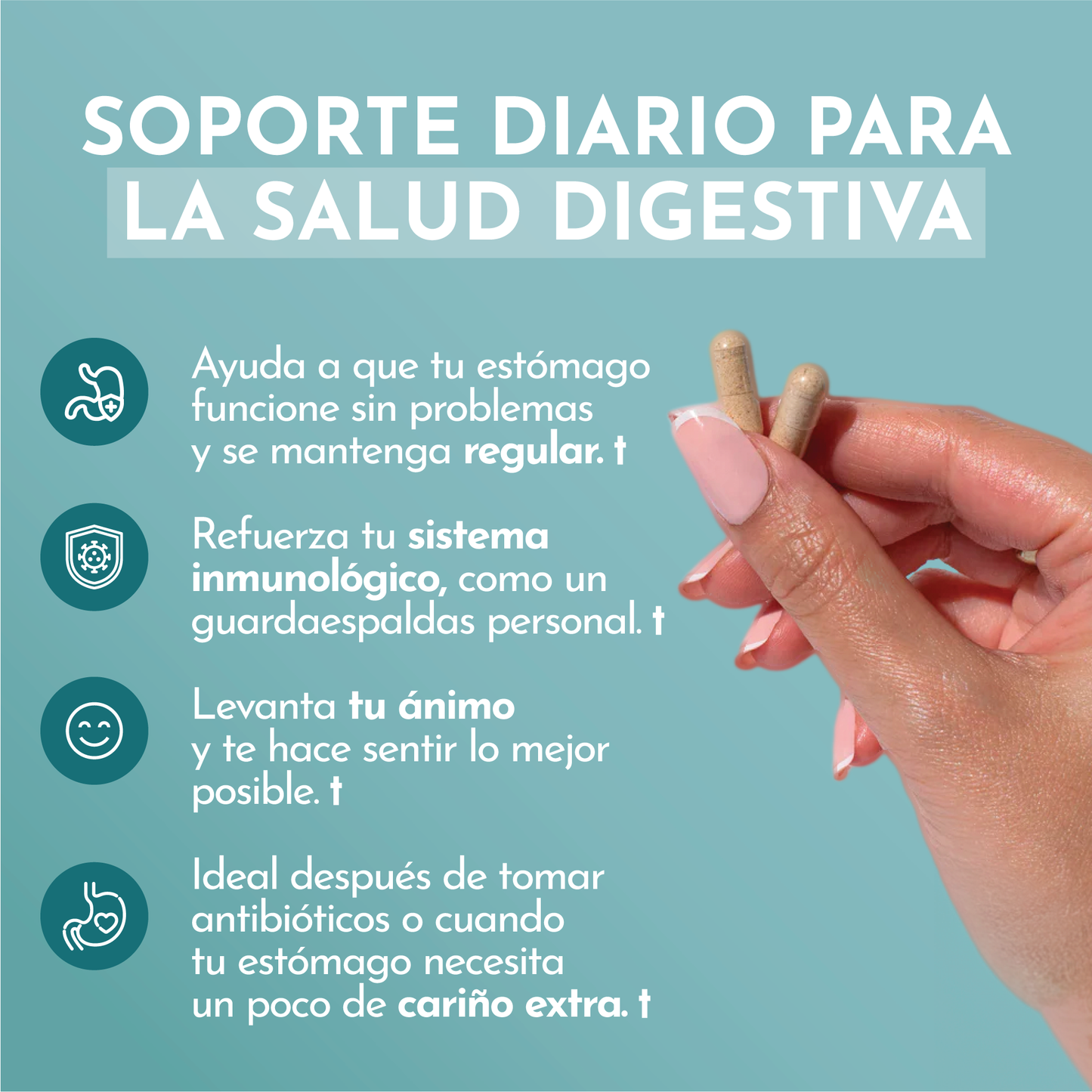 CLUB HAPPY FLORA - Suscripción trimestral, incluye un Happy flora gratis, envío gratis y experiencias en vivo con Ana Lucía Domínguez