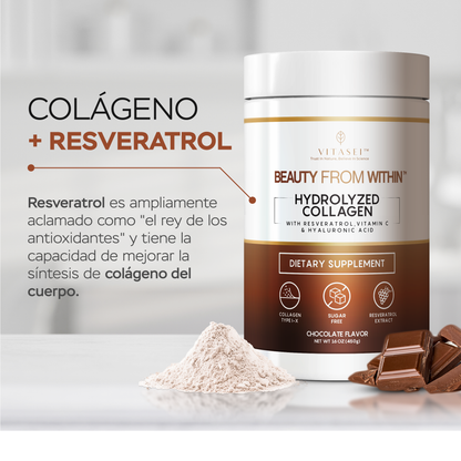 Péptidos de colágeno con resveratrol y ácido hialurónico - chocolate