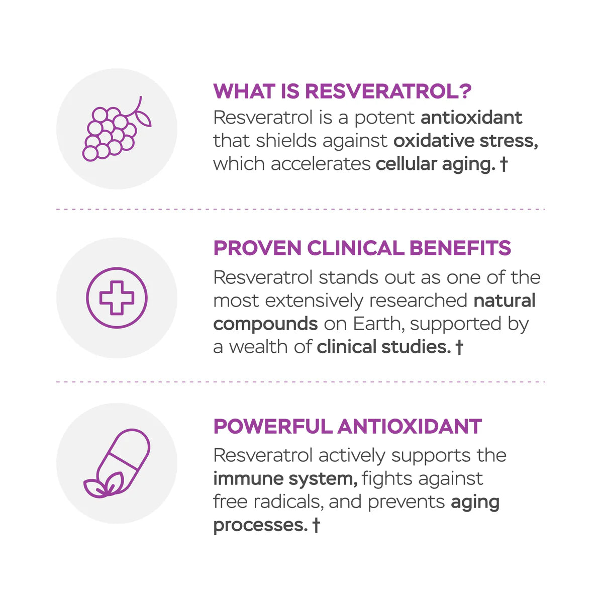 Colágeno con resveratrol Sabor Coco + Sin Sabor + Colageterna