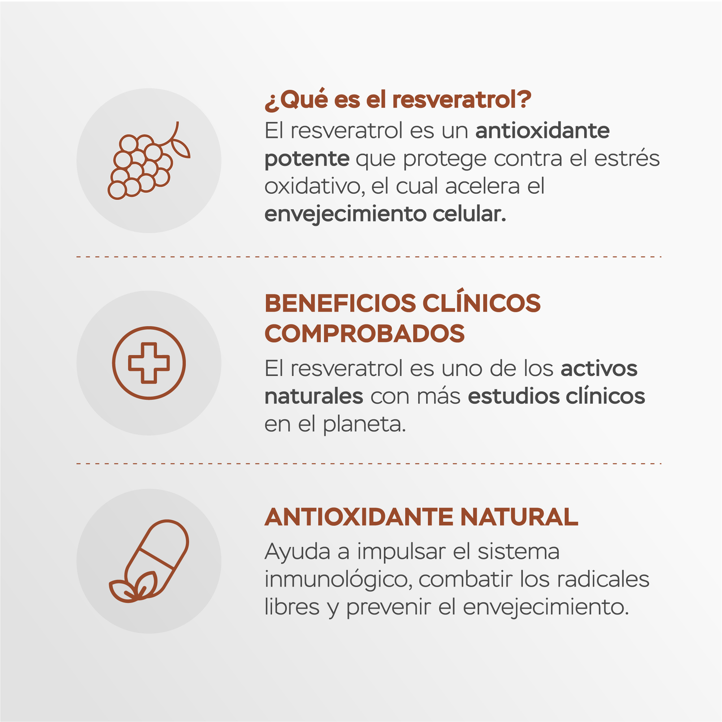 Péptidos de colágeno con resveratrol y ácido hialurónico - chocolate