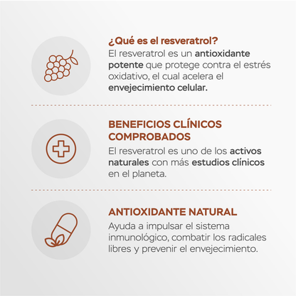 Péptidos de colágeno con resveratrol y ácido hialurónico - chocolate