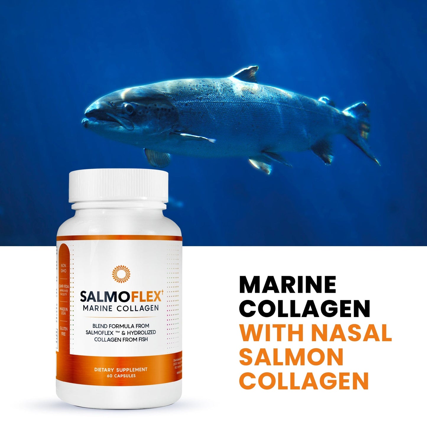 Salmoflex Marine Collagen + Collagen Capsules with hyaluronic acid