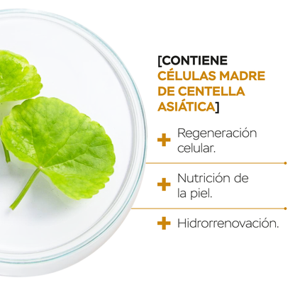 Sueros faciales día y noche + cuello con células madre vegetales