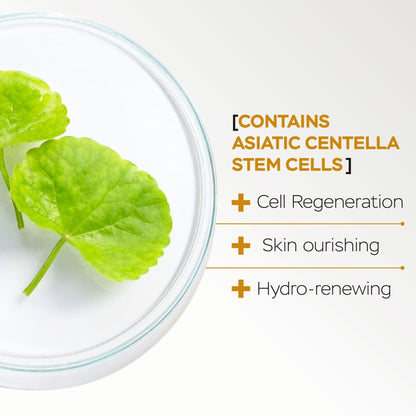 Beauty Box Day And Night Facial Serum Duo With Cotton And Asiatic Centella Stem Cells