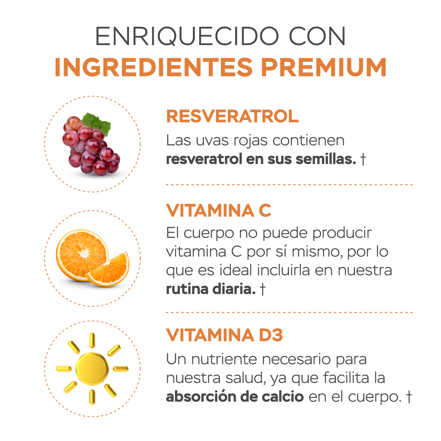 Péptidos de colágeno con resveratrol y ácido hialurónico - Sin Sabor