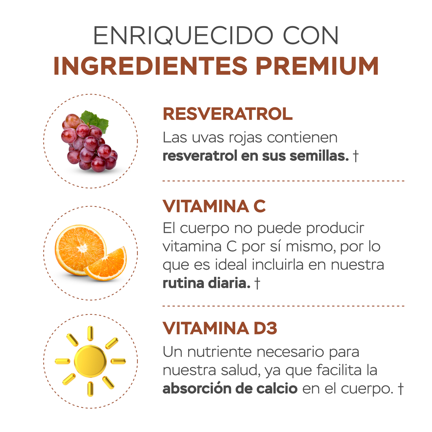 Péptidos de colágeno con resveratrol y ácido hialurónico - chocolate