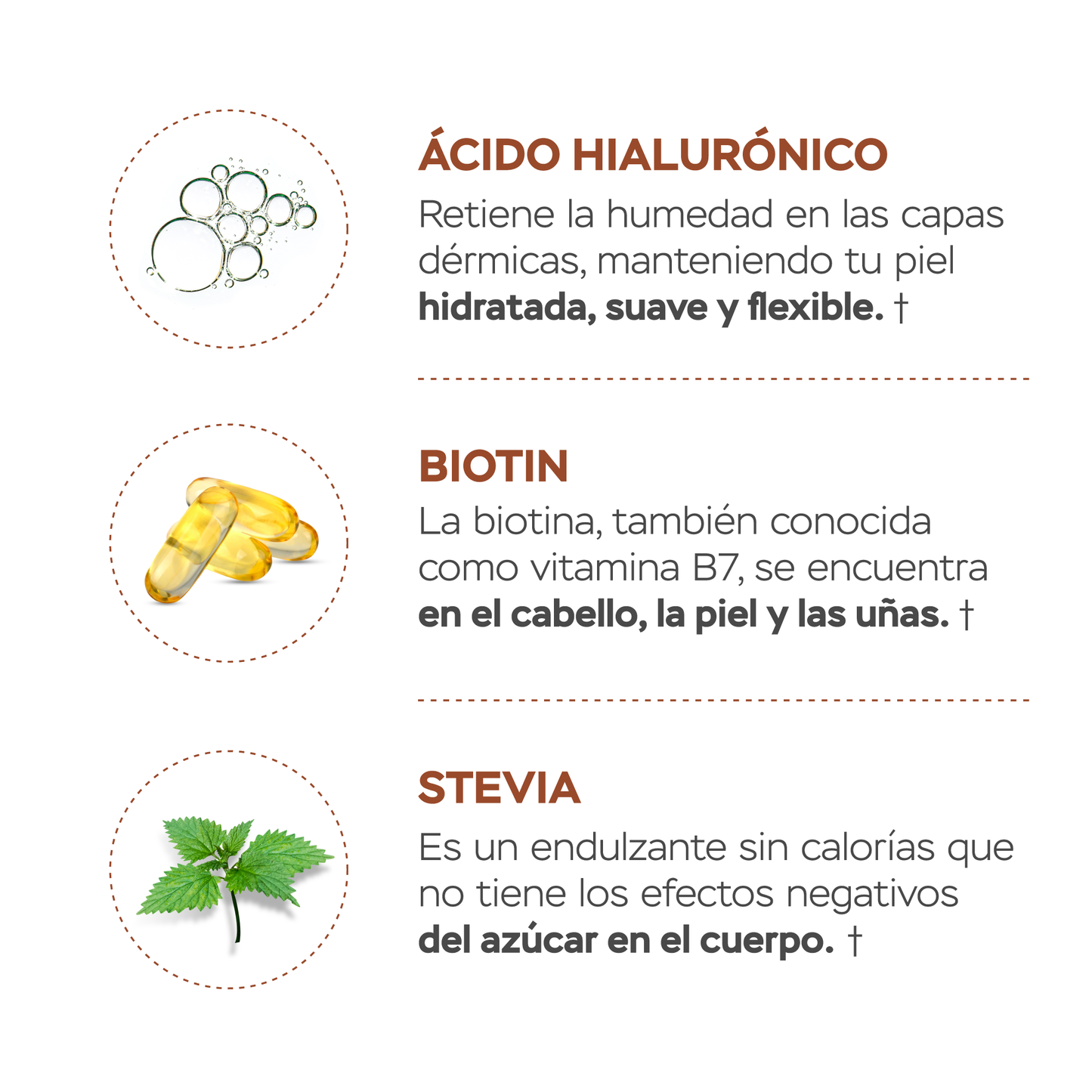Péptidos de colágeno con resveratrol y ácido hialurónico - chocolate
