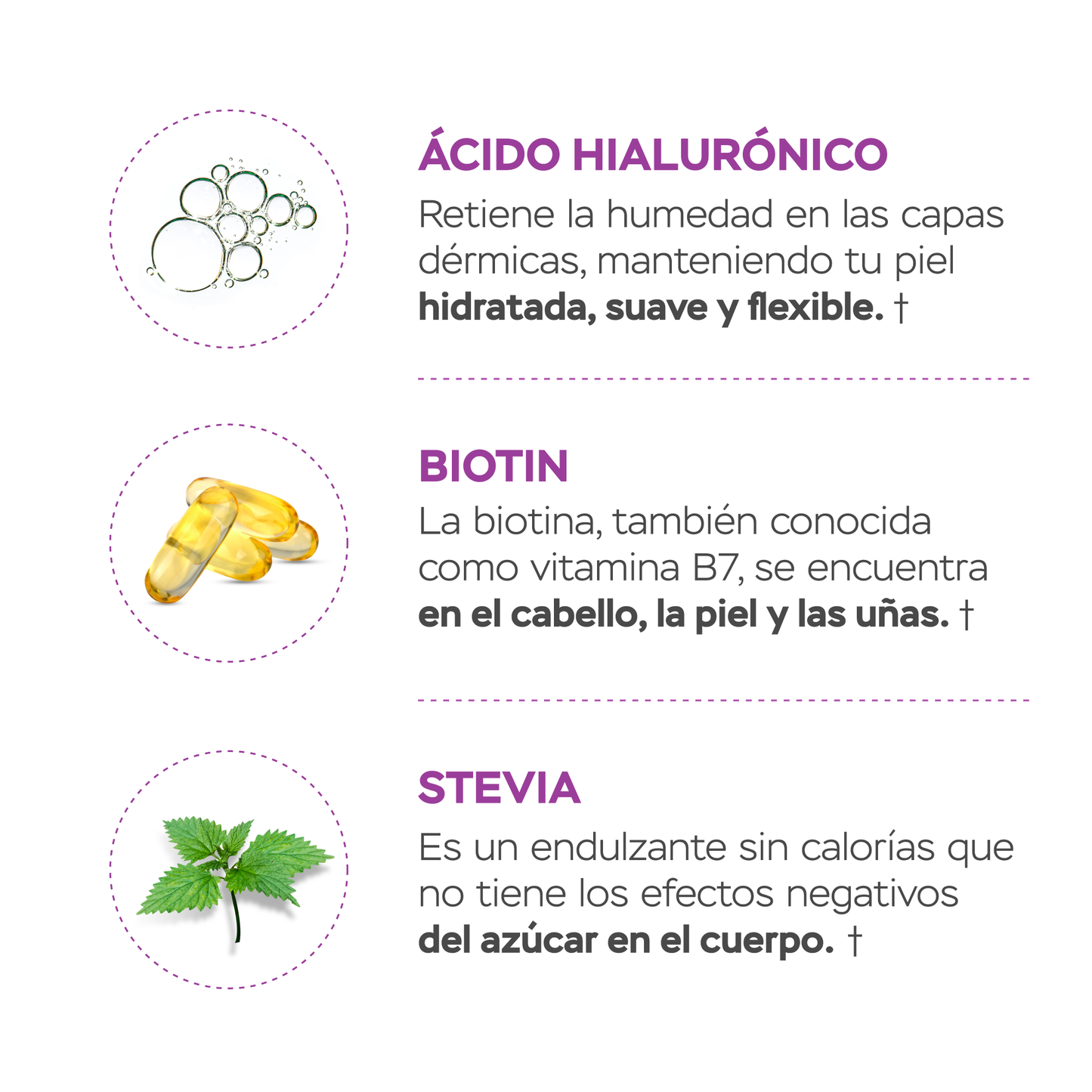 Péptidos de colágeno con resveratrol y ácido hialurónico - cocolada
