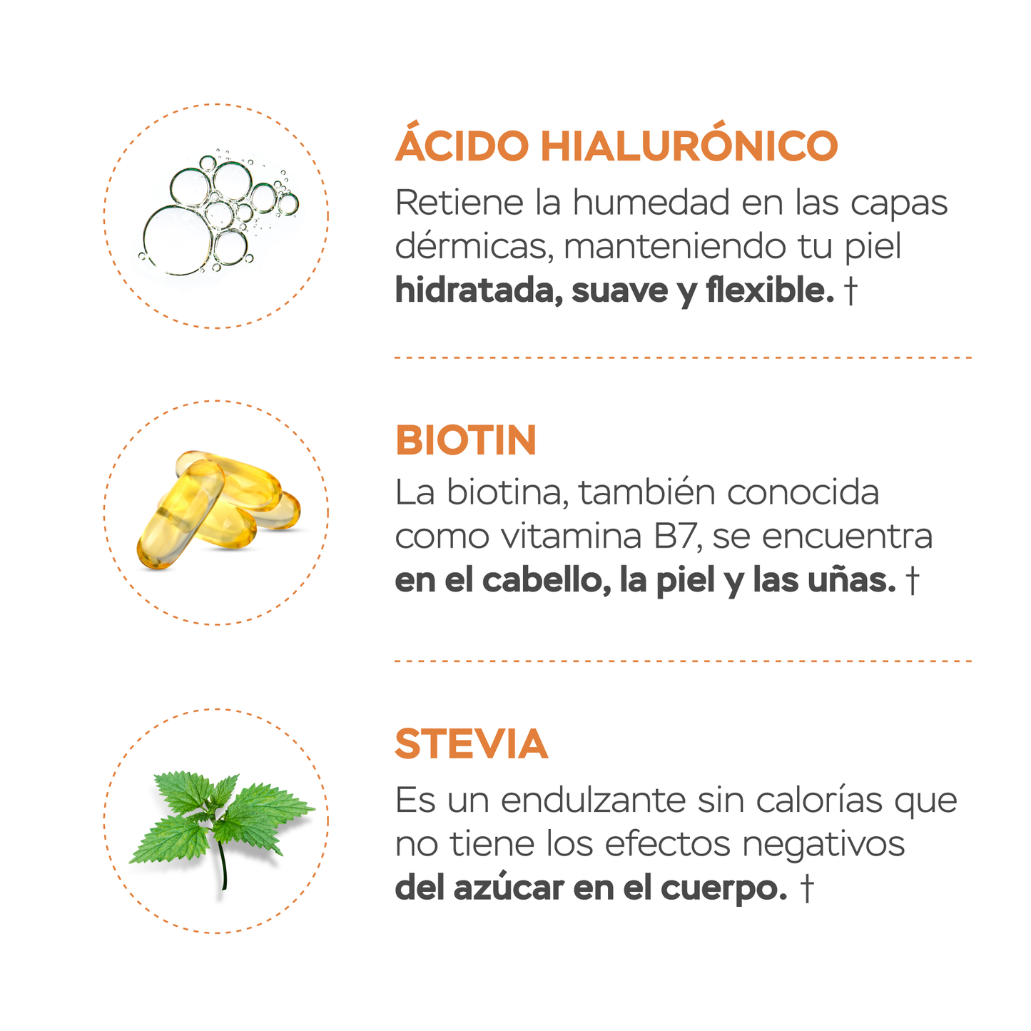 Péptidos de colágeno con resveratrol y ácido hialurónico - Sin Sabor