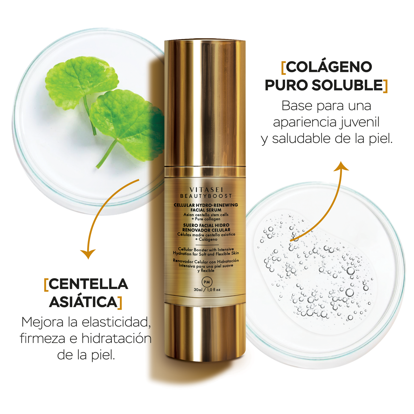 Sueros faciales día y noche + cuello con células madre vegetales