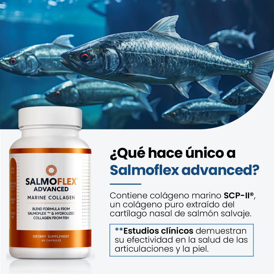 Salmoflex Advanced con colágeno marino para la salud de articulaciones y piel