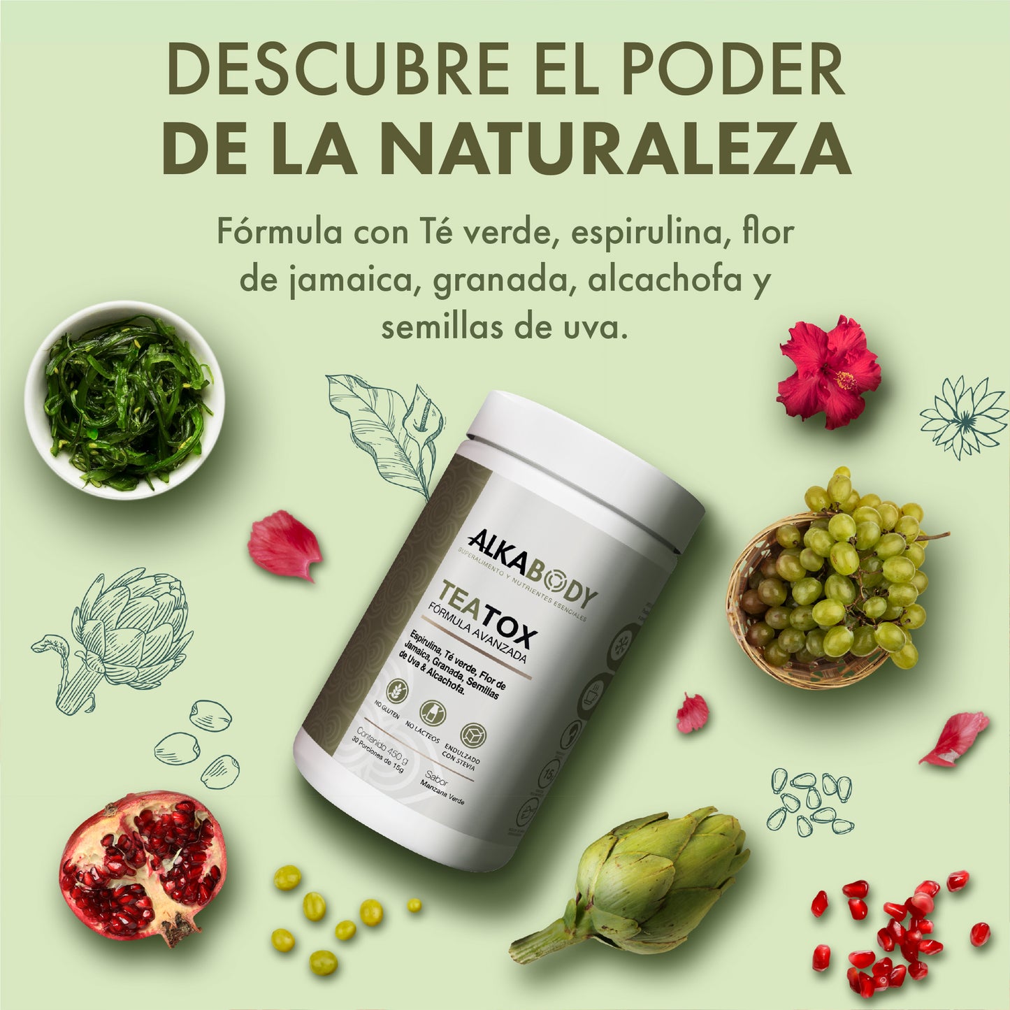 Teatox – Detox en polvo con Té Verde, Espirulina y Alcachofa
