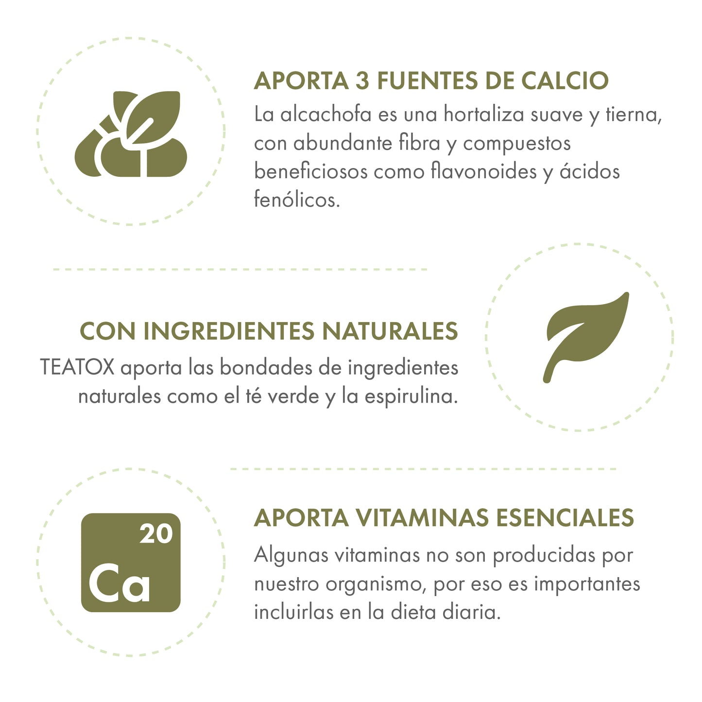 Teatox – Detox en polvo con Té Verde, Espirulina y Alcachofa