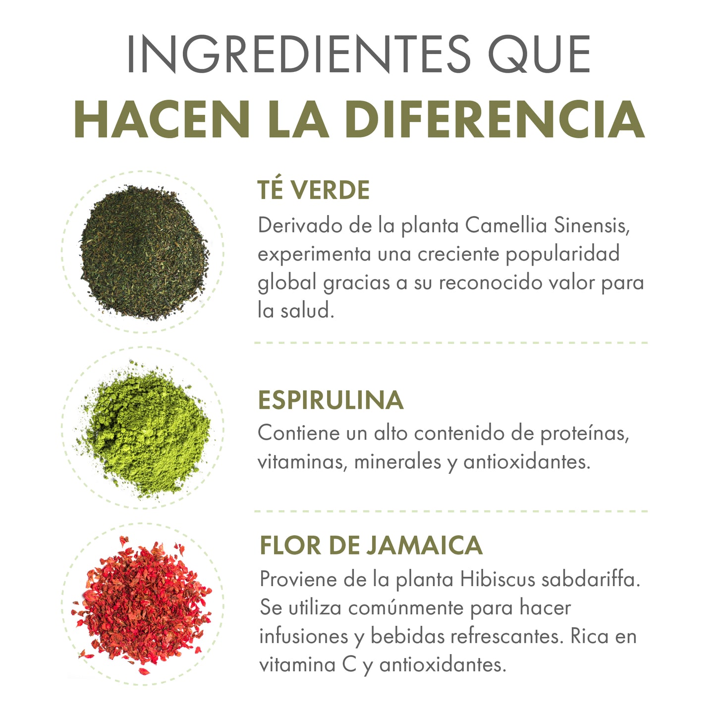 Teatox – Detox en polvo con Té Verde, Espirulina y Alcachofa