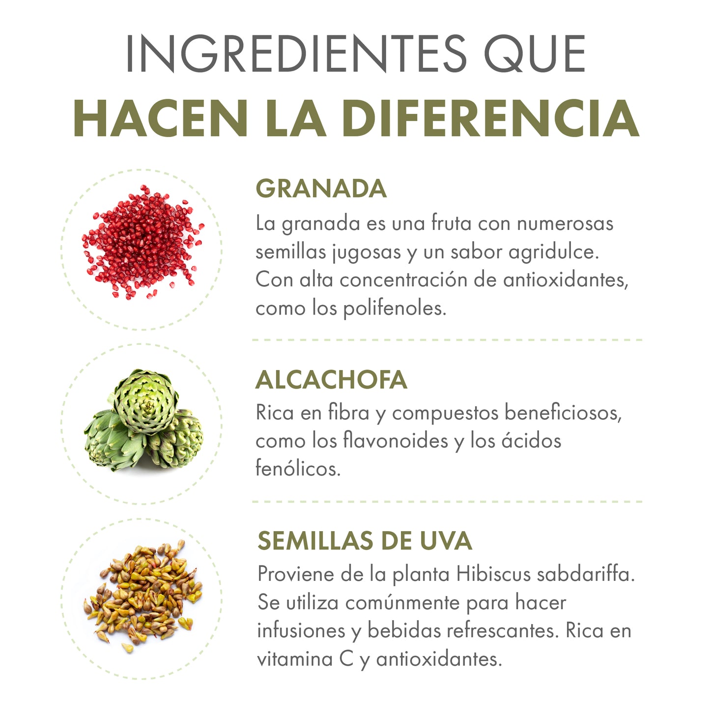 Teatox – Detox en polvo con Té Verde, Espirulina y Alcachofa