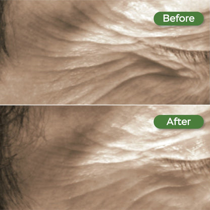 Bundle, Day and Night Facial Serums With Apple Stem Cell + Hydro Booster with cotton stem cells