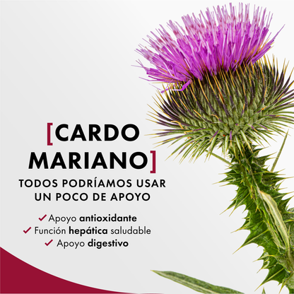 Gotas Liver Complex – Limpieza y reparación del hígado con cardo mariano