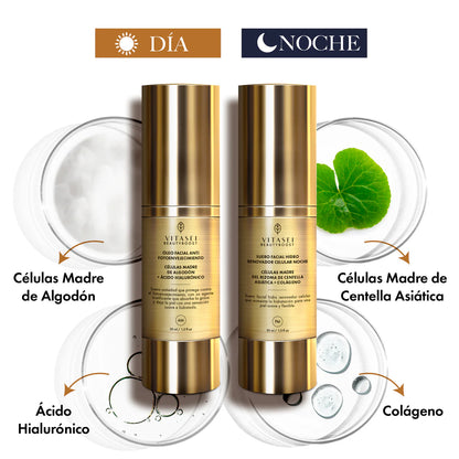 Sueros faciales día y noche + cuello con células madre vegetales