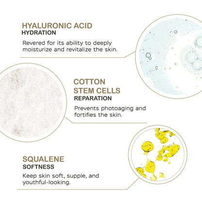 Oxinergy Oxygenating Charcoal Mask + Cream with Prebiotics + Neck And Decollette Stem Cells Serum