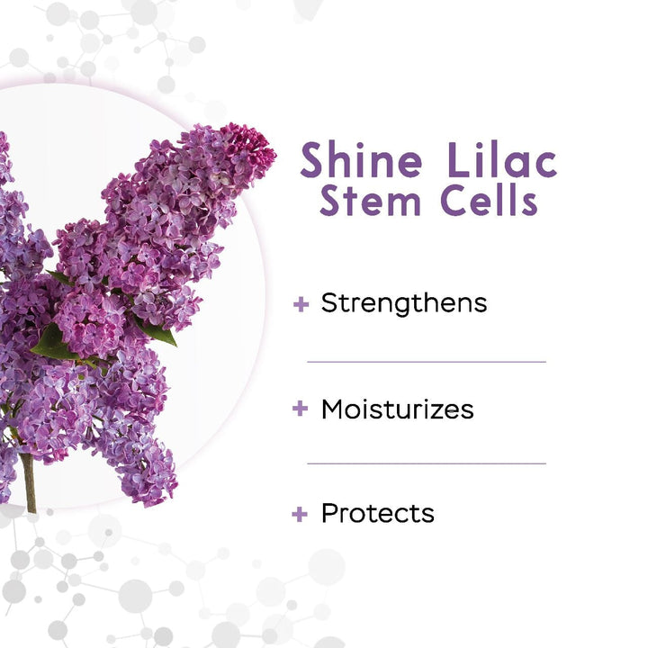 HAIR SERUM FILLER WITH STEM CELLS