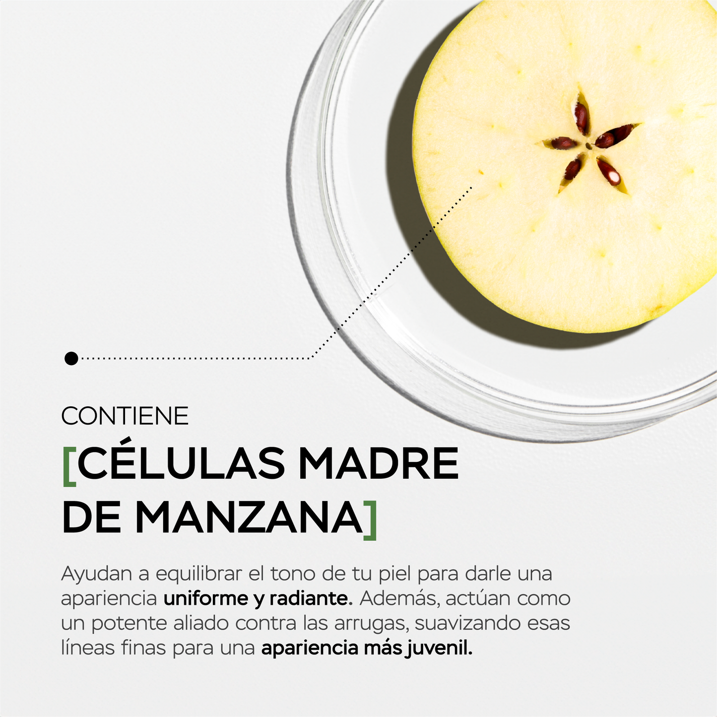 Sueros faciales con células madre de manzana para día y noche (retinol)