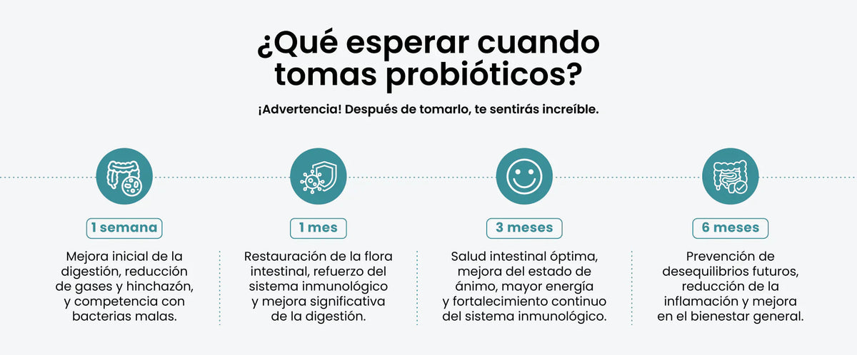¿Qué esperar cuando tomas probióticos? Lo que puedes notar a la semana, al mes, a los 3 meses y a los 6 meses.